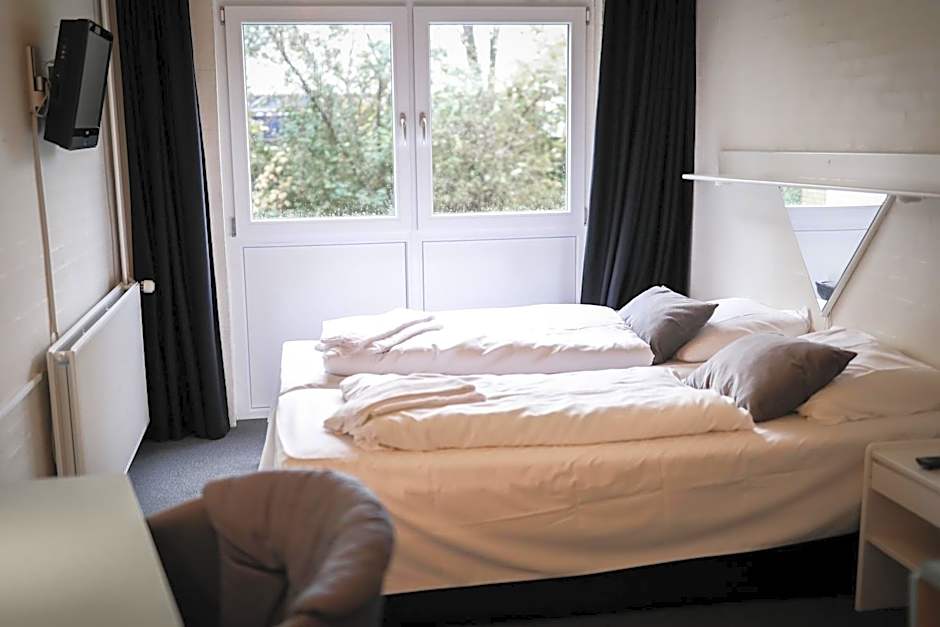 Dolphin Hotel Herning