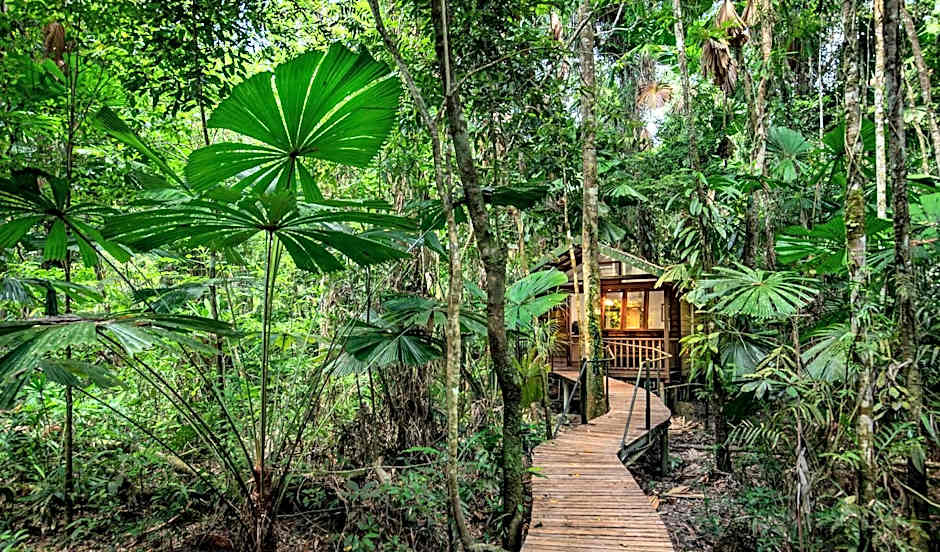 Daintree Wilderness Lodge