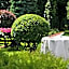 Booking Hotel & Spa