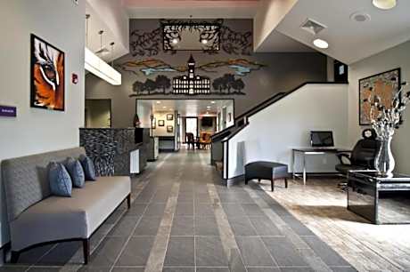 Single Room - Disability Access