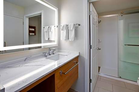 1 King Bed One Bedroom Suite