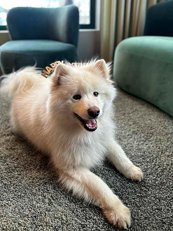 Best Western Plus Hotel Kungens Kurva