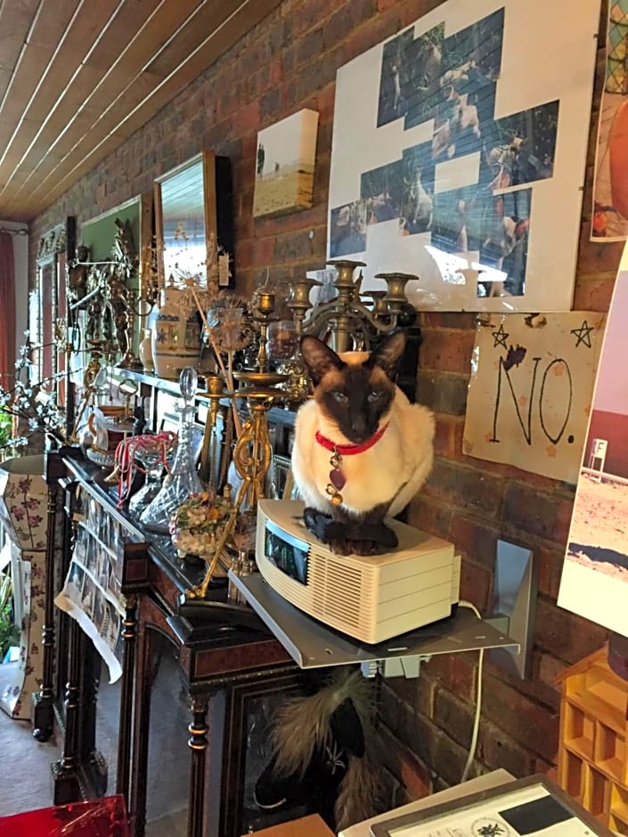 Chiswick Riviera with free parking