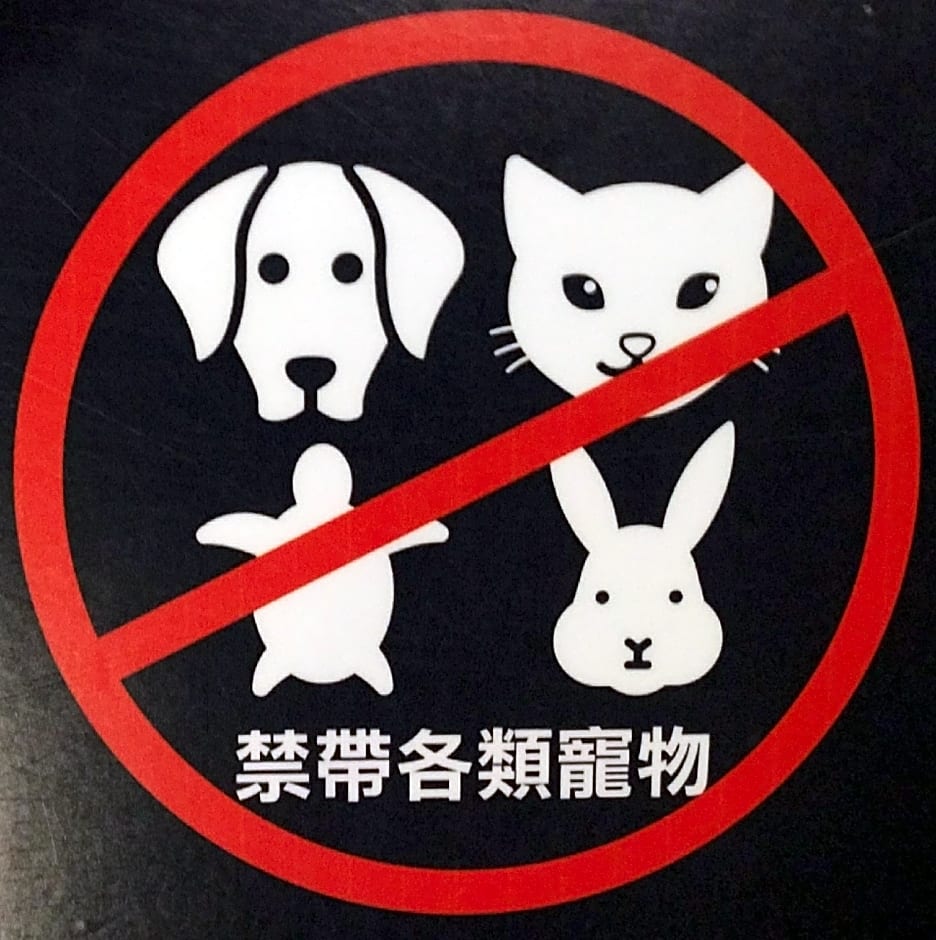 Applause In The Mountain