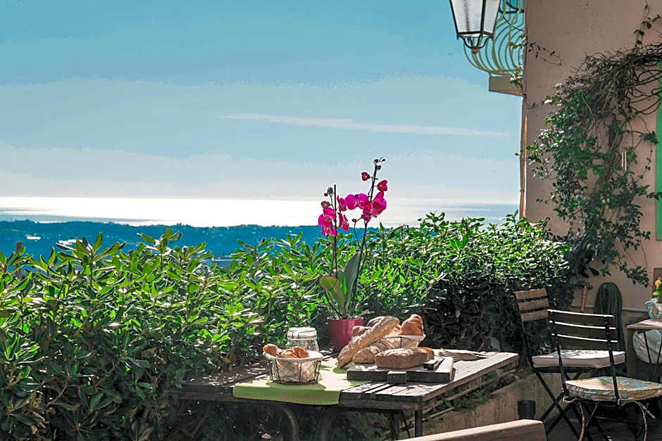 The Frogs House - Yoga Retreat