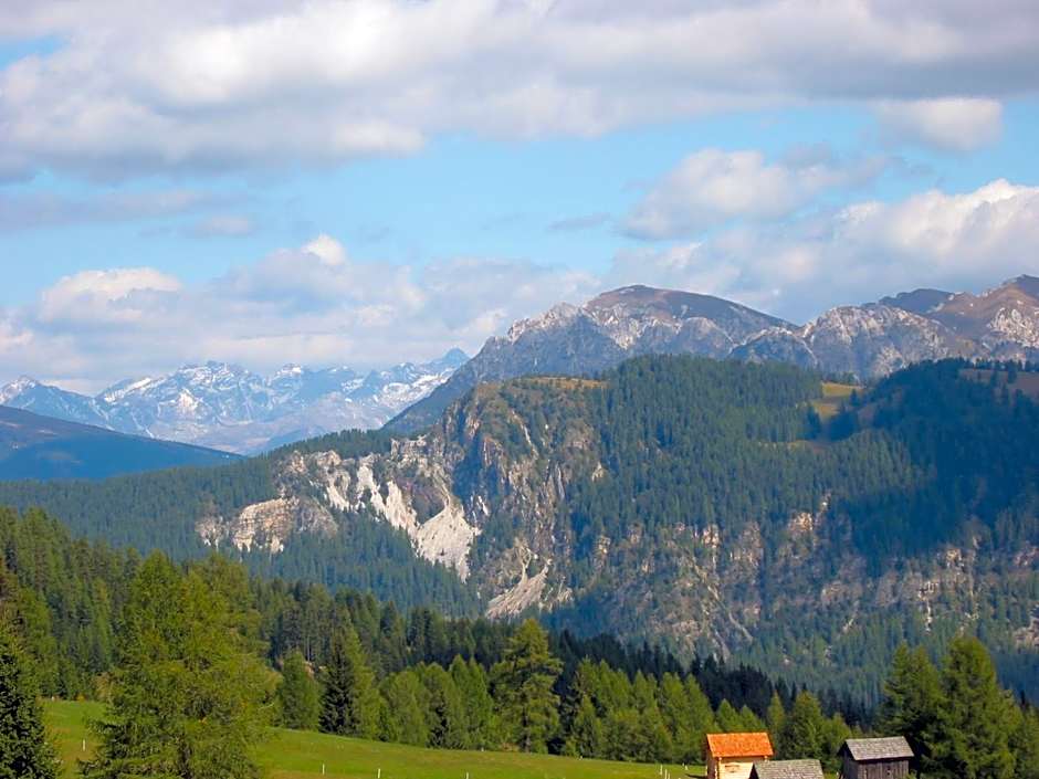 Piccolo Hotel Claudia No Pets