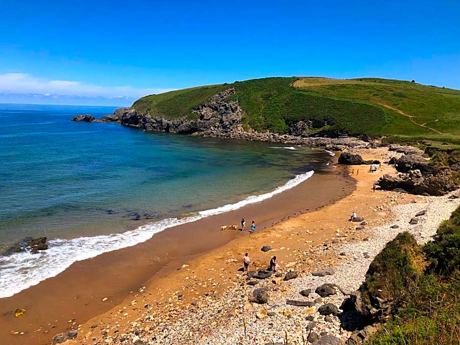 Olas y flores silvestres 2