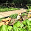 Susan's Villa B&B by Elevate Rooms
