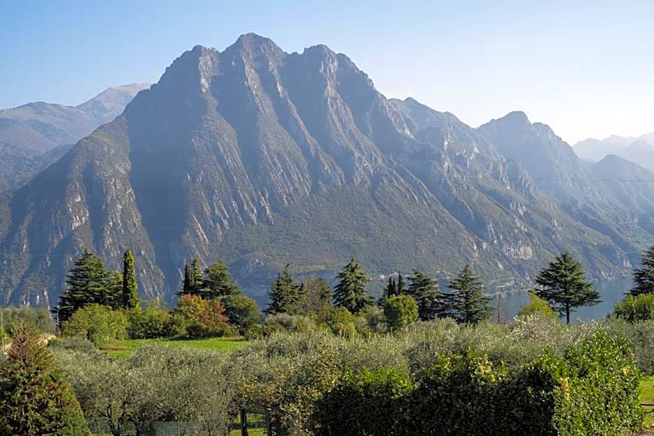La casa di Sarah