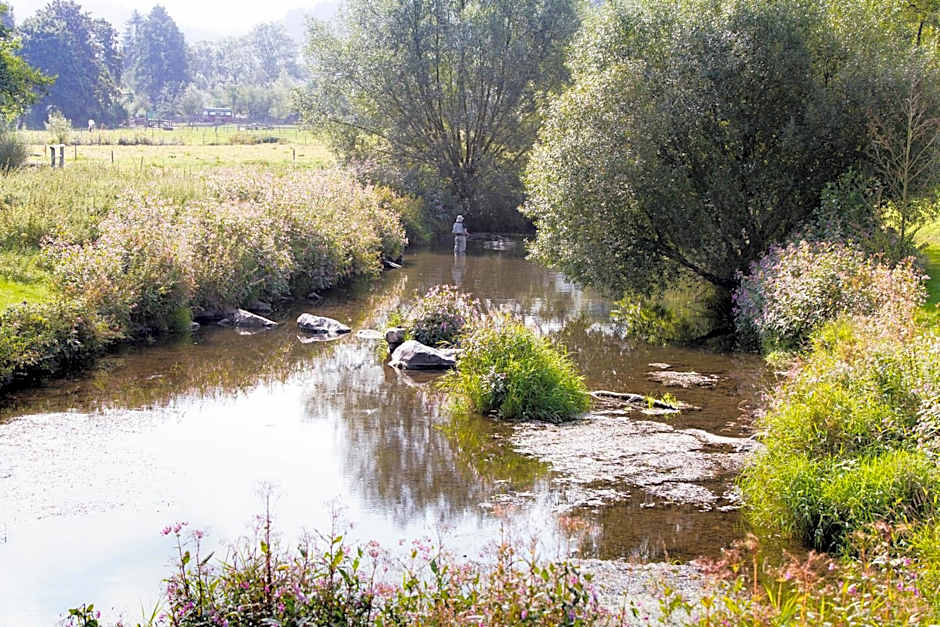 Landidyll Hotel Haus Hochstein