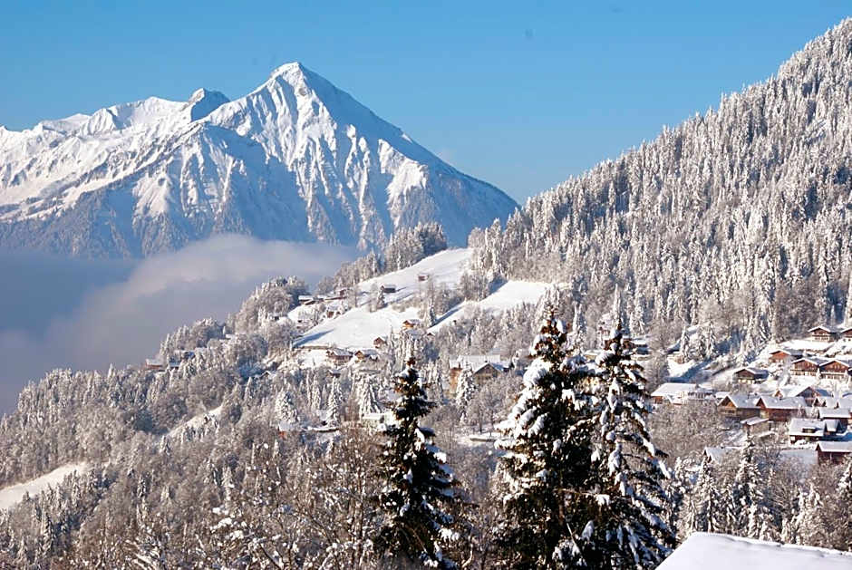 Hotel Fassbind Beausite