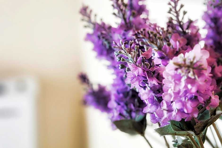 Palazzo Eugenia Suites