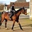 Chenonceau Amboise équitation beauval