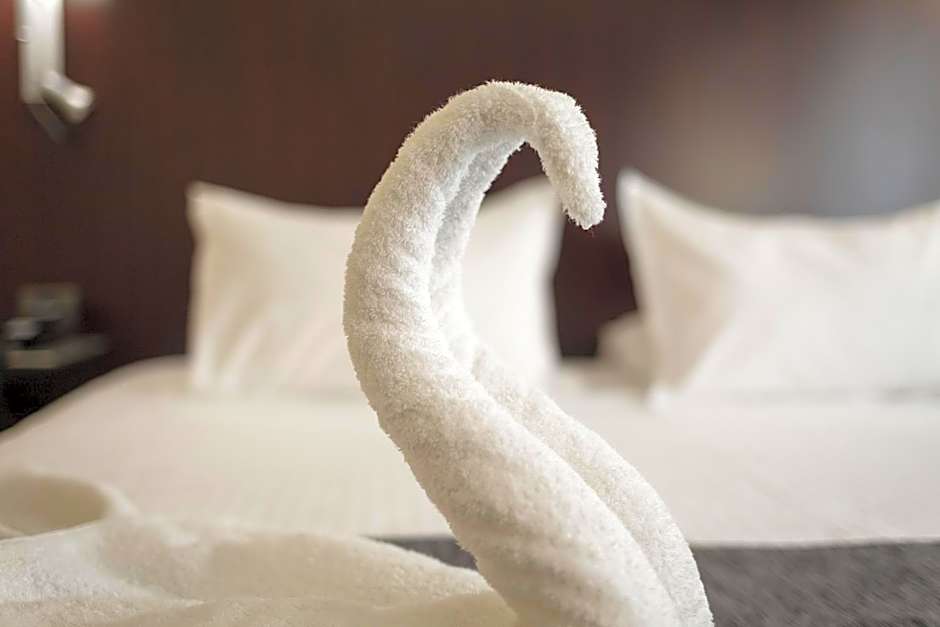 Hotel Salymar