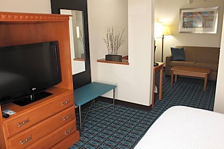 Studio, 1 King Bed with Sofa bed (1 King Bed and 1 Double Sofa Bed)