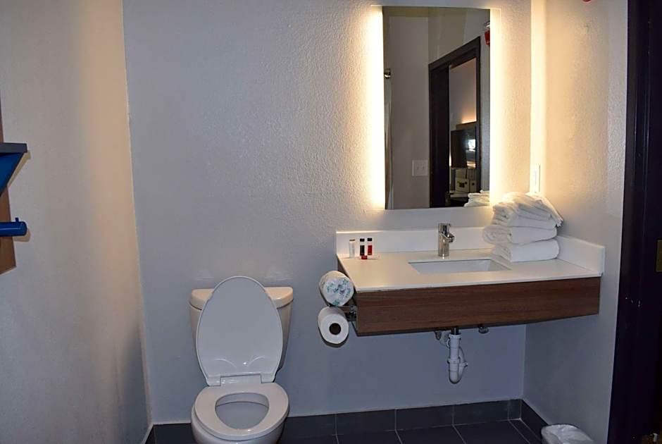 Microtel Inn & Suites by Wyndham Stockbridge/Atlanta I-75