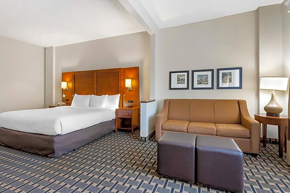 Comfort Inn Summerville - Charleston