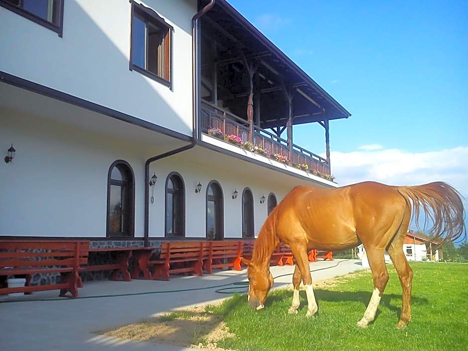 Rusaliite Adventure House