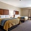 Comfort Inn Edwardsville - St. Louis