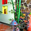 Ideal Hotel Hue