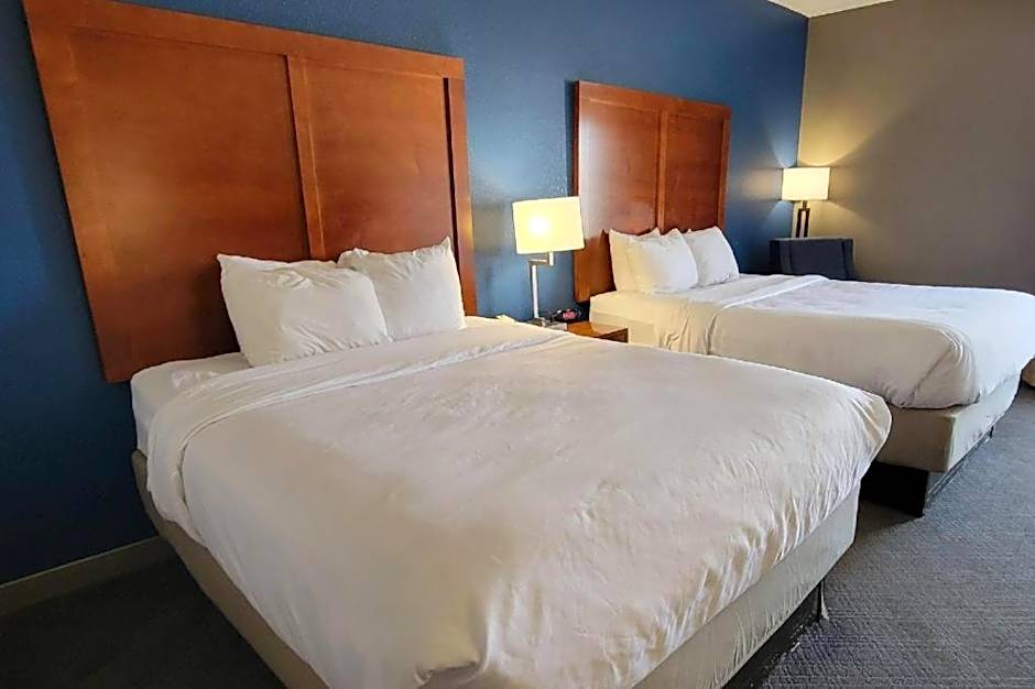 Comfort Inn Bessemer Birmingham South