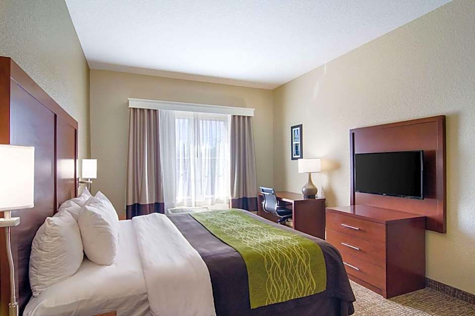 Comfort Inn Blackshear Hwy 84