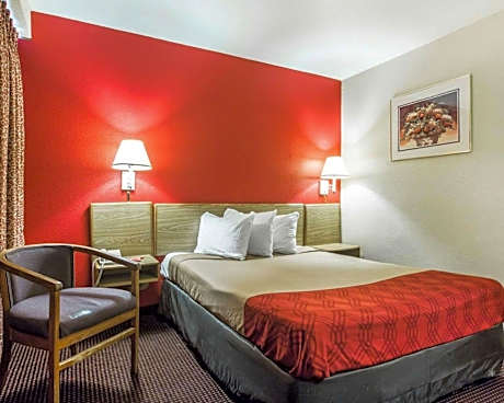 1 King Bed, Nonsmoking
