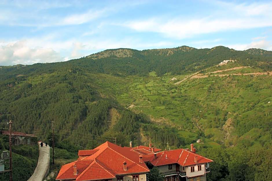 Archontiko Metsovou Luxury Boutique Spa Hotel