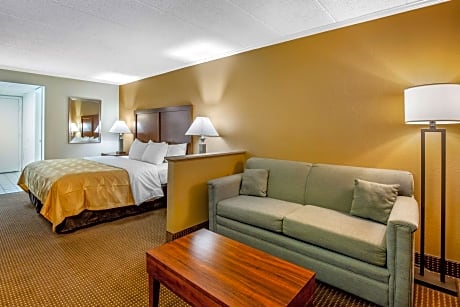 1 King Bed Efficiency Nonsmoking