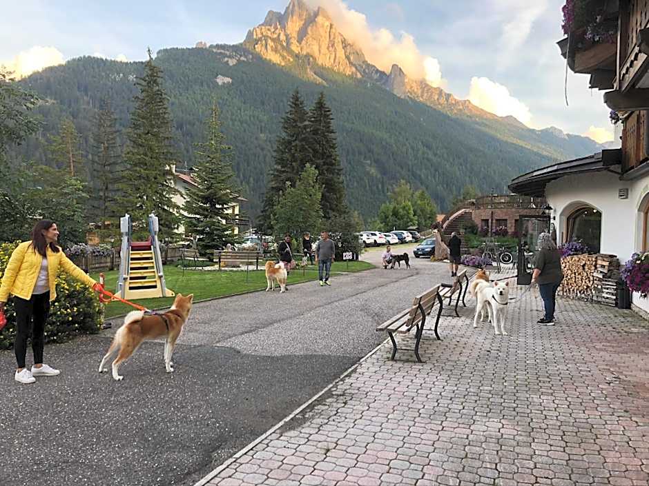 Alpine Touring Hotel-petfriendly