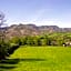Manexenea