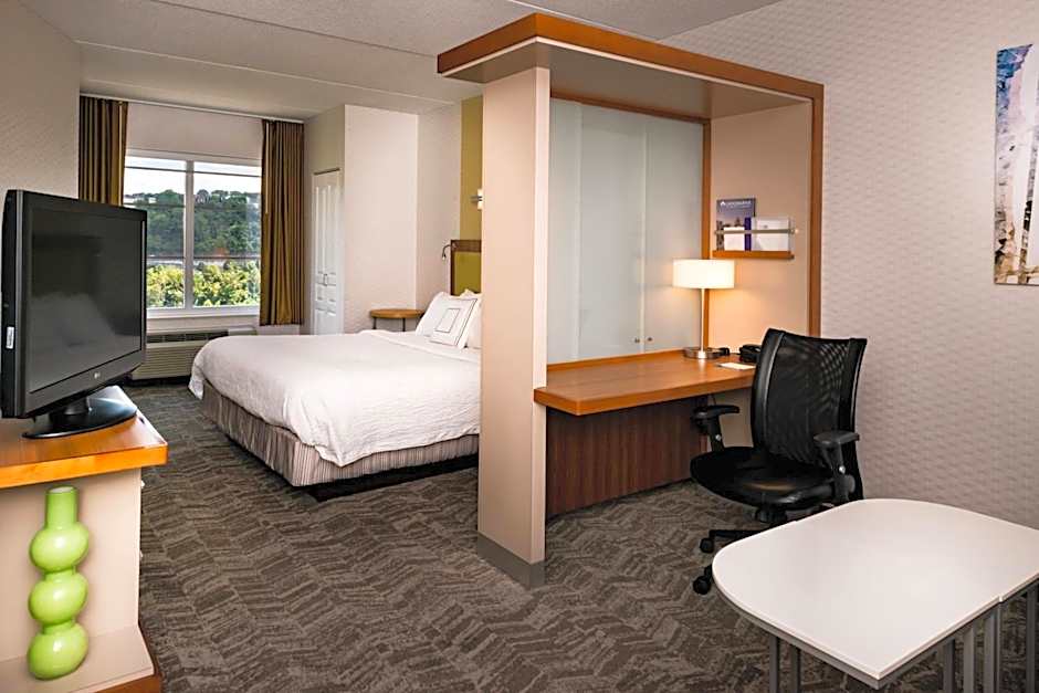 SpringHill Suites by Marriott Pittsburgh Southside Works