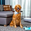 Residence inn by Marriott Big Sky /The Wilson Hotel