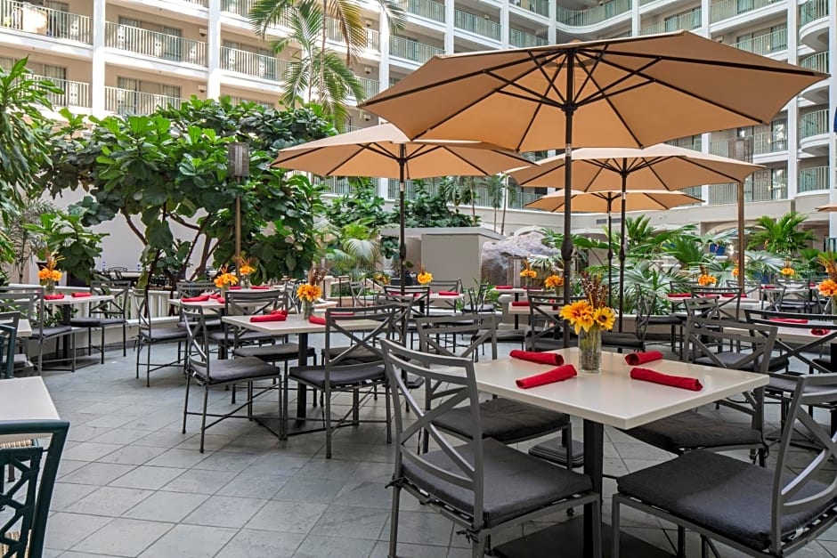 Sheraton Suites Fort Lauderdale At Cypress Creek