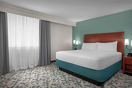 1 KNG JR STE MOBILITY/HEARING ACCESS RI SHWR