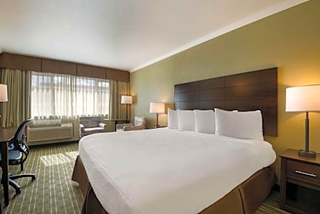 Standard King Bed Room