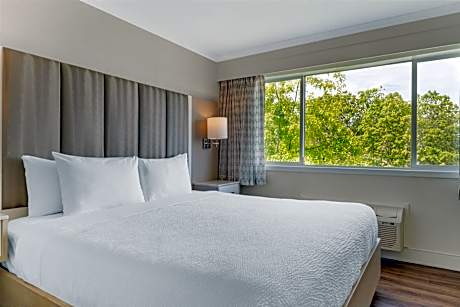 Executive Two-Room King Suite with Sofa Bed - Non-Smoking
