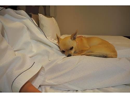 ICI HOTEL Asakusabashi - Vacation STAY 71085v