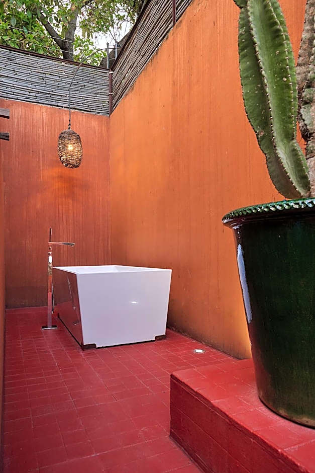 Casa Carmen Reforma