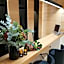 Metropol Ceccarini Suite - Luxury apartments