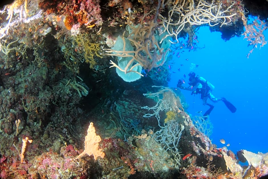 Araya Dive Resort Togean