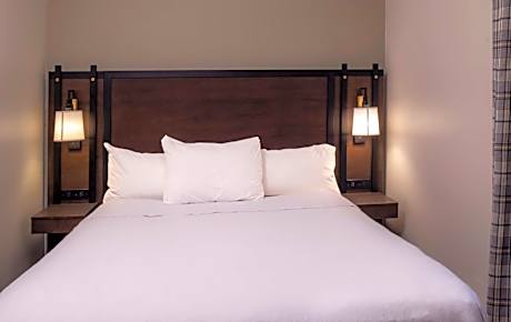 Non-Smoking Queen Suite with Fireplace