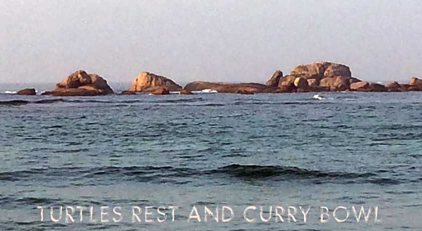 Curry Bowl Restaurant & Turtles Rest