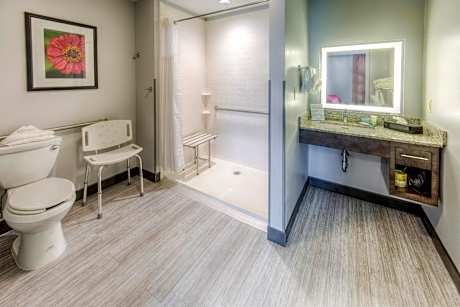 One-Bedroom King Suite with Communications Accessible Roll-In Shower