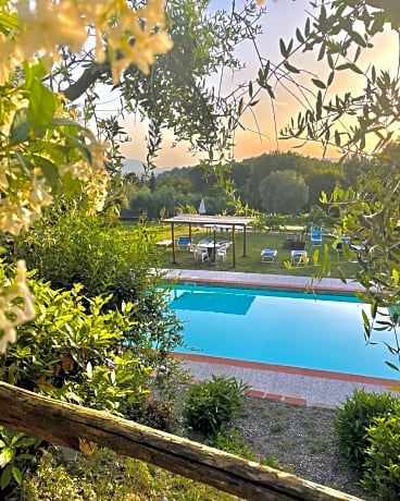 B&B Alloro