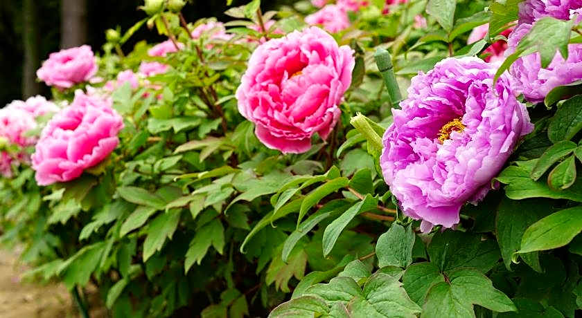 Tabist Tsukuba Sky Hotel