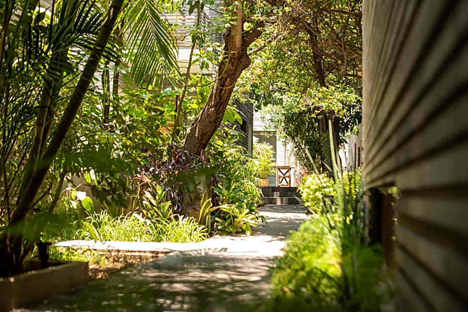 Nardazul "Casa de Sueños"