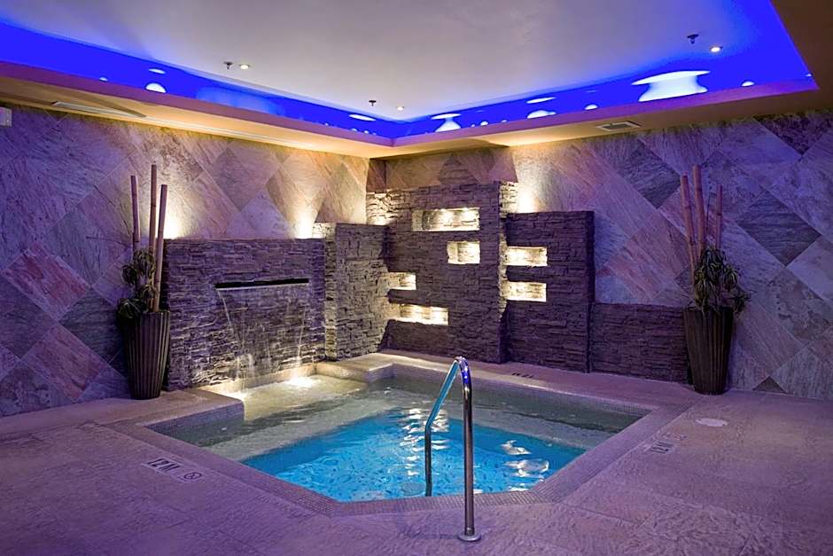 Wingate by Wyndham Chihuahua