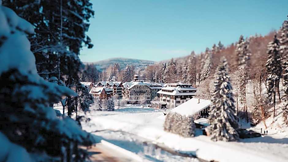 Hotel Savoy Špindlerův Mlýn