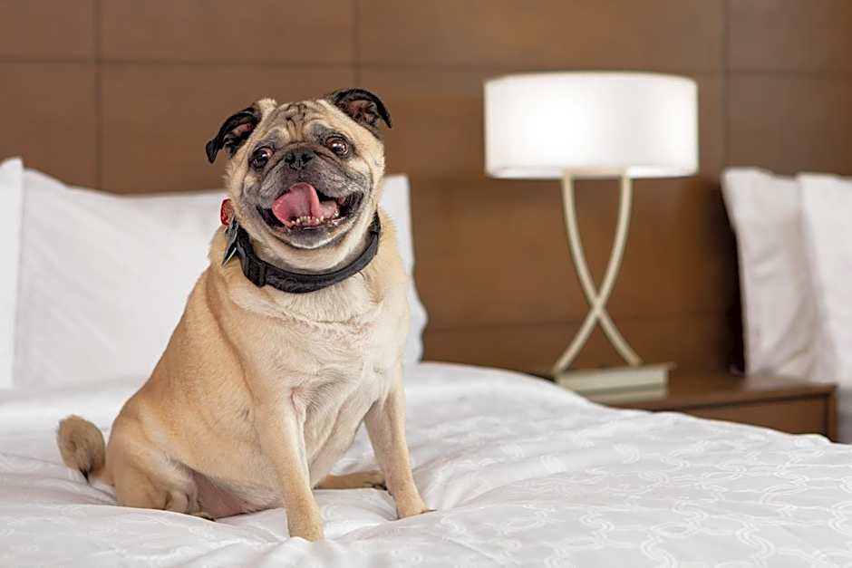 Staybridge Suites Charlottesville Airport By IHG